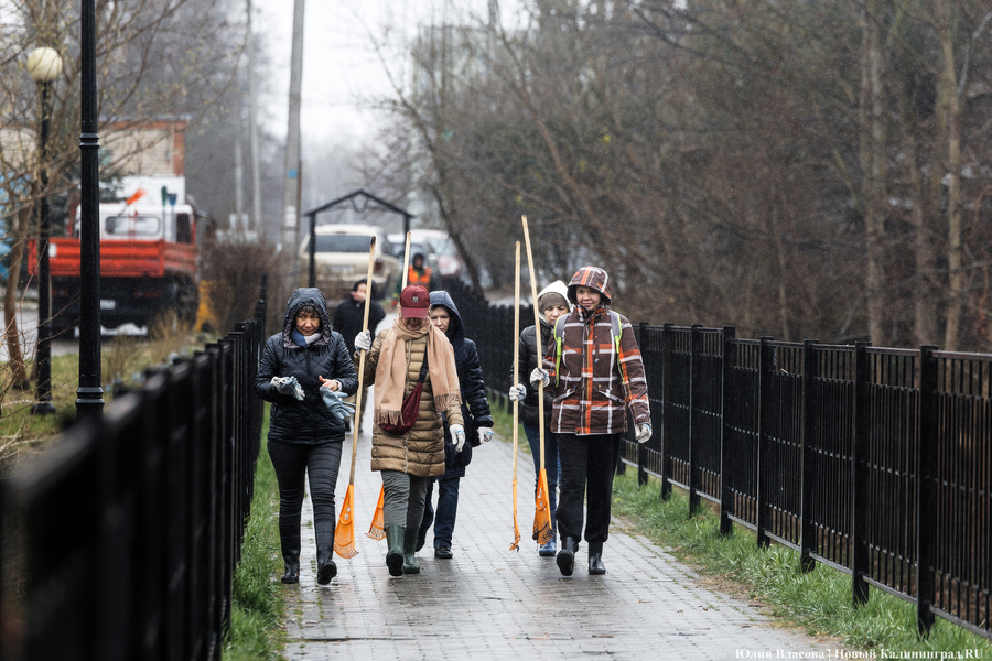 «Коммунальный Новый год»: как в Калининграде прошёл общегородской субботник
