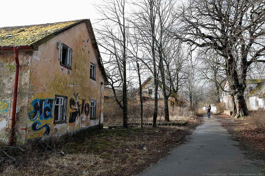 Власти ищут проектировщика для сноса турбазы Балтфлота в Филино