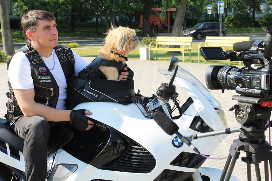 Пес-байкер, которого угонщики оставили без мотоцикла, пересел на «БМВ» друзей (фото)