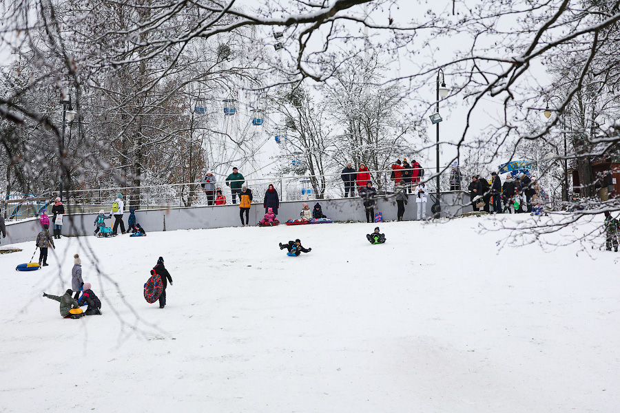 Полет на санках: как в Центральном парке Калининграда с горки катаются (фото)
