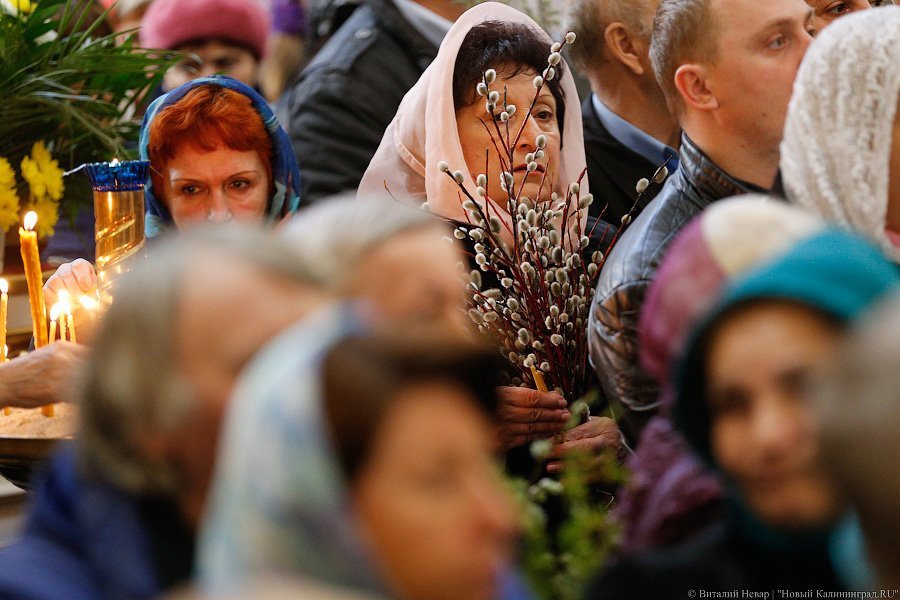 «Цветики да вербочки»: как прошло богослужение в Вербное воскресенье (фото)