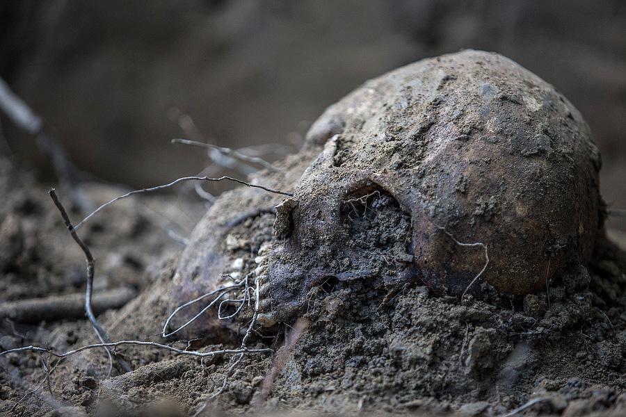 Время подбрасывать кости: кому нужны найденные останки и кто на них зарабатывает