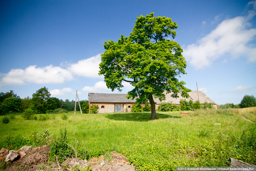 Остатки роскоши прусского барокко: усадьба в Рощино в проекте «Пустые дома»