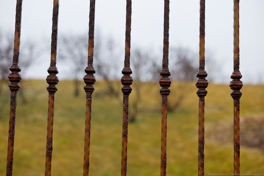 Тройной удар: состояние променада в Пионерском ухудшилось после зимних штормов (фото)
