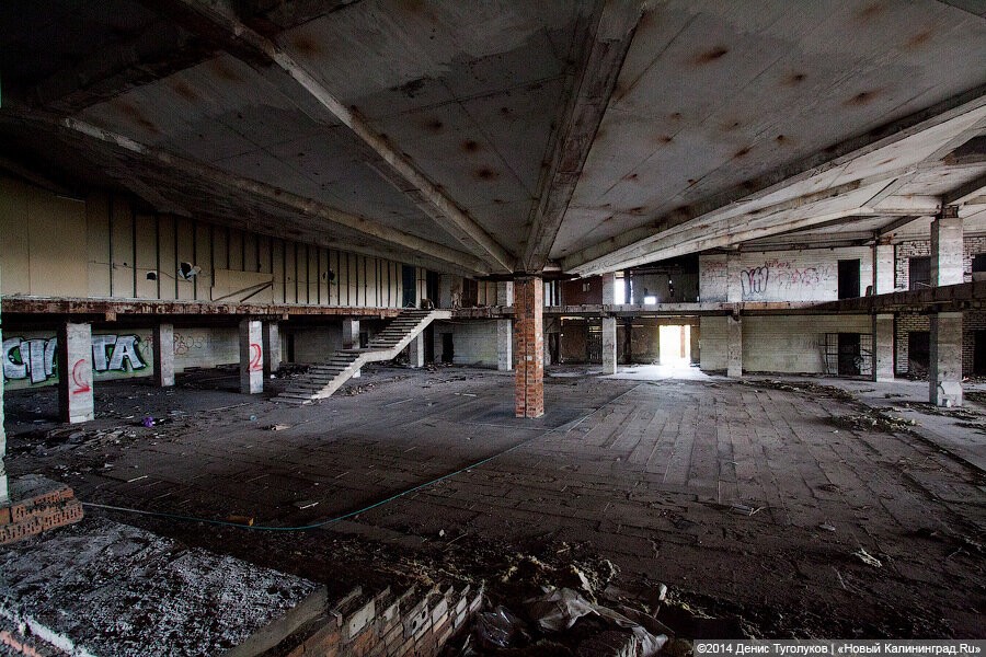 Корпорация развития нашла организацию, которая за 20 млн обследует Дом Советов