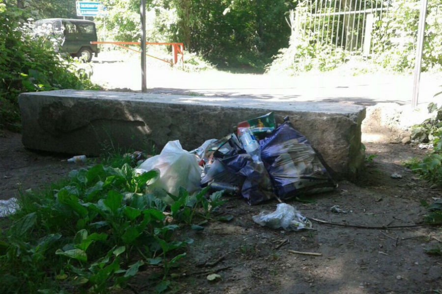 Фото — пресс-службы национального парка «Куршская коса»