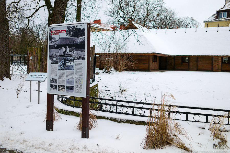 Проще — не всегда правильнее: в Калининградском зоопарке отремонтировали исторические вольеры (фото)