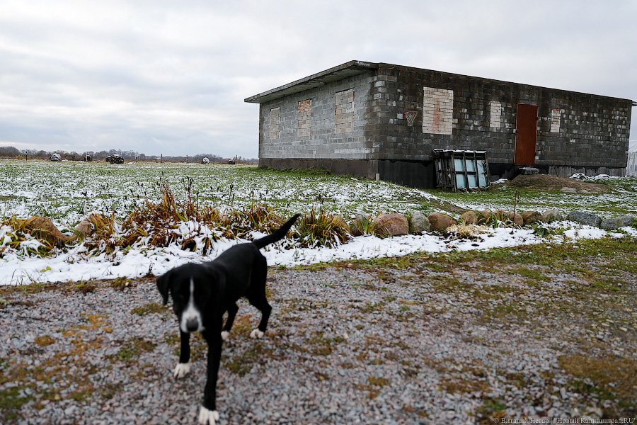 ЛЭП над головой: через дом многодетной семьи ведут электричество в «Храброво»