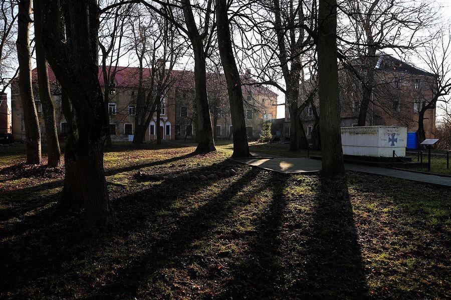 Фото: Виталий Невар / Новый Калининград