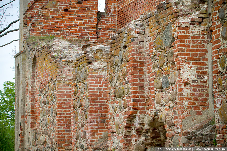 «А денег нет»: в переданной РПЦ кирхе 14-го века в Храброво валяются человеческие кости