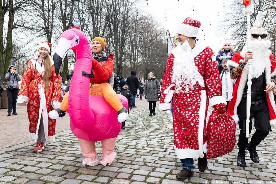 «Сказка к нам приходит»: на острове Канта прошел забег Дедов Морозов (фото)