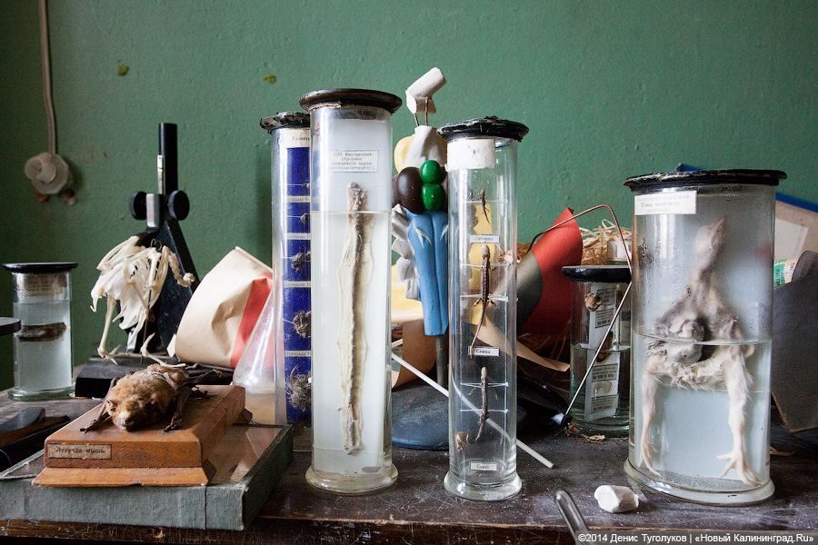 Точка замерзания: пустующий интернат для детей в поселке Железнодорожный