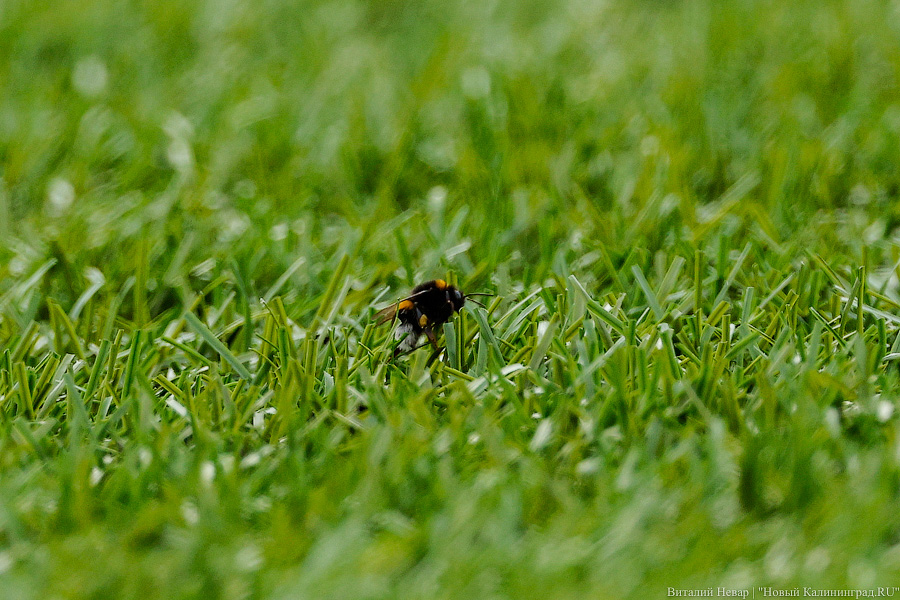 Голкиперка, форвардка: женская «Балтика» дебютировала на Кубке России (фото)