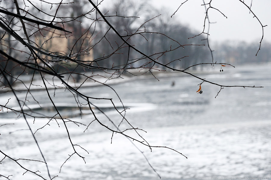 «Хоттабыч не успеет»: спасатели оценили ледовую обстановку в регионе