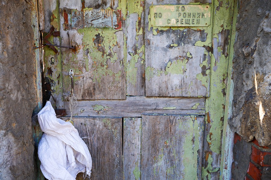 Экзотика в руинах: аварийные оранжереи Ботанического сада и их будущее