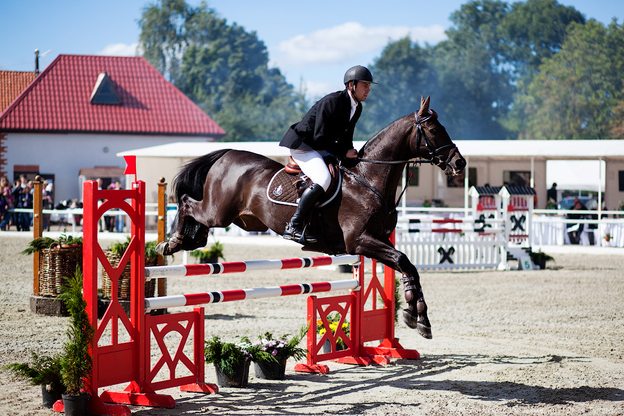 «Кубок президента РФ для немцев»: фоторепортаж с турнира по конкуру в Георгенбурге