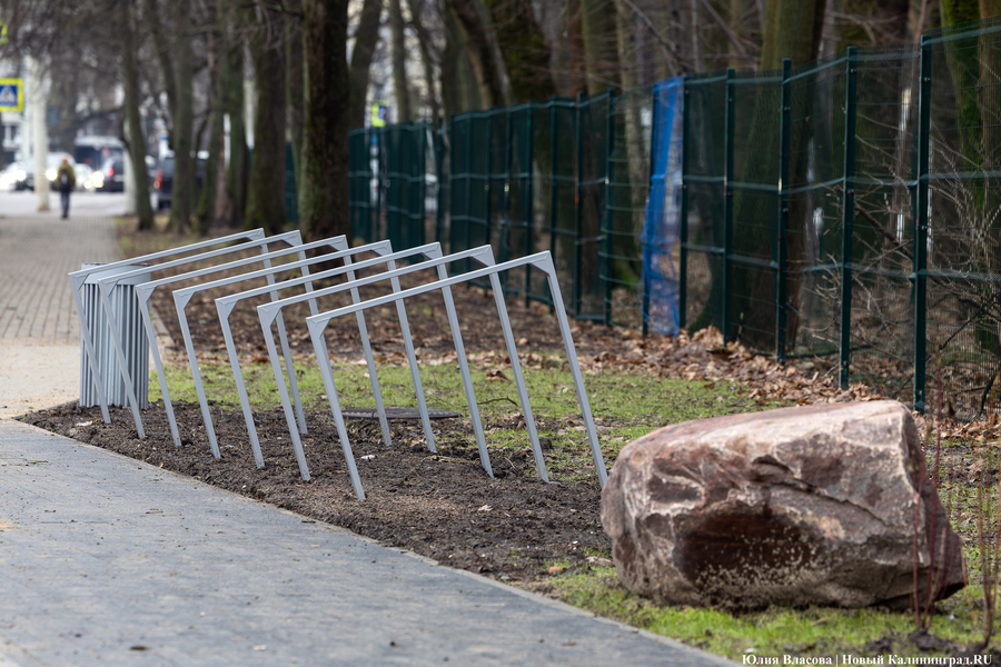 В трех соснах: как выглядит благоустроенная территория у стадиона «Балтика» (фото)