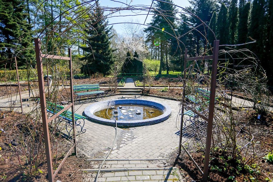 Пастораль ручной работы: весенний Ботанический сад