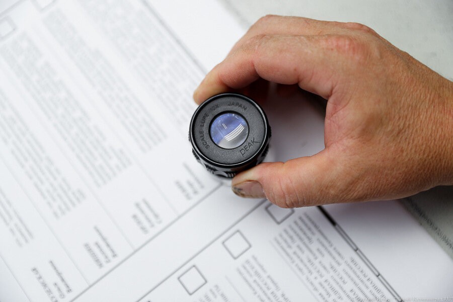 Штаб соперника Лукашенко не признал результаты выборов в Белоруссии 