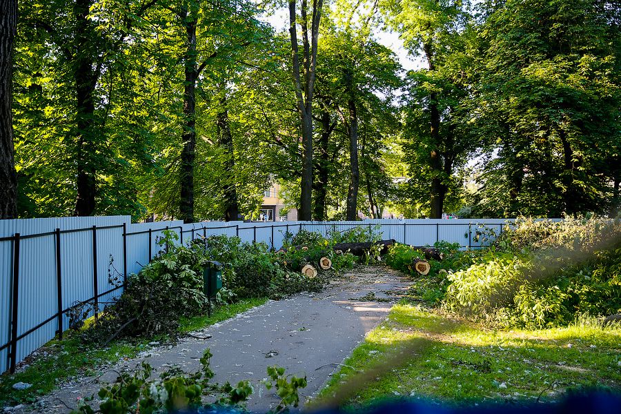 Фото из архива «Нового Калининграда.Ru»