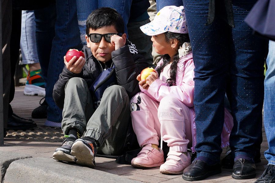 Парад в объективе: фоторепортаж со Дня Победы в Калининграде