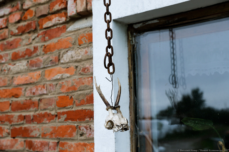 Картошка с молоком: как живут «лучшие начинающие фермеры России» из Славска