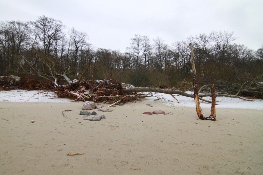 «Нацпарк штормового периода»: фоторепортаж «Нового Калининграда.Ru»