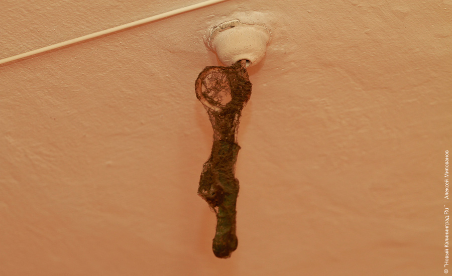 "Подстанция несуществующей страны": фоторепортаж "Нового Калининграда.Ru"