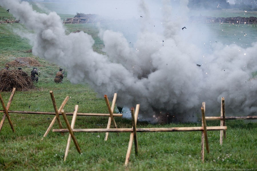 Фото — Виталий Невар, «Новый Калининград»