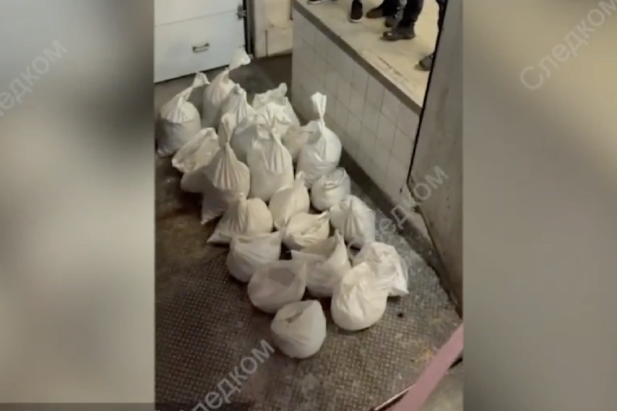 СК: в суд передано уголовное дело о контрабанде янтаря почти на 3 млн рублей