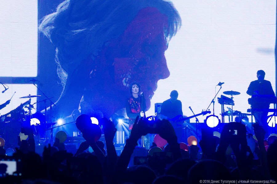 Фото — Денис Туголуков, «Новый Калининград.Ru»