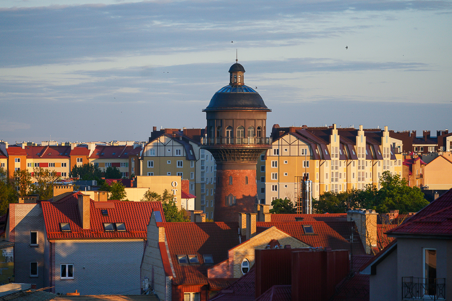 Фото: Виталий Невар / Новый Калининград