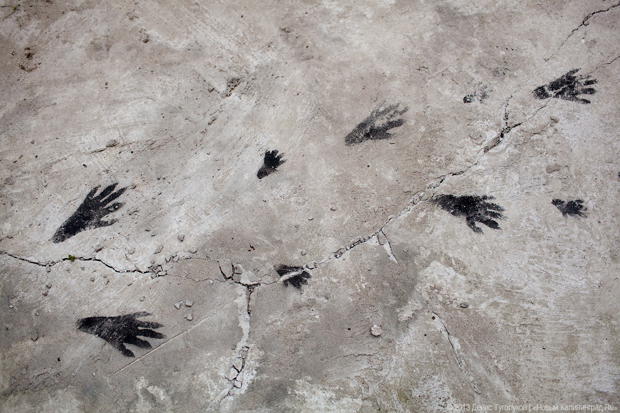 Суета вокруг шкафа: в Калининграде открылась интеллектуальная арт-площадка