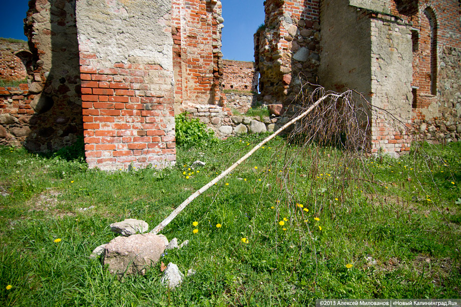 «Приезжайте позже»: территория переданной РПЦ кирхи в Романово превратилась в поселковую свалку