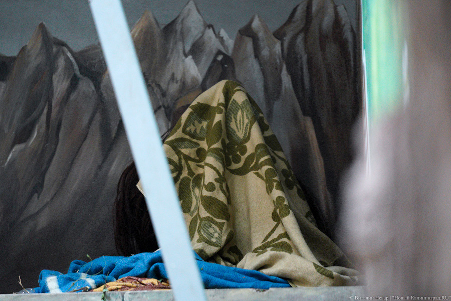 Принц Датский: как орангутан Антон обустроился в Калининградском зоопарке (фото)