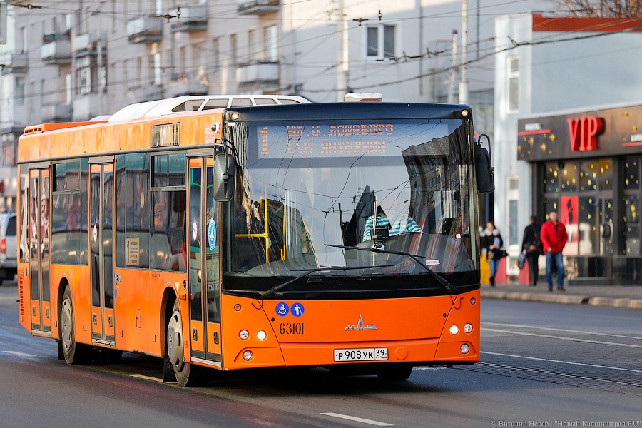 Ярошук: чтобы поднять зарплаты на «Гортрансе», нужно повышать цены на проезд