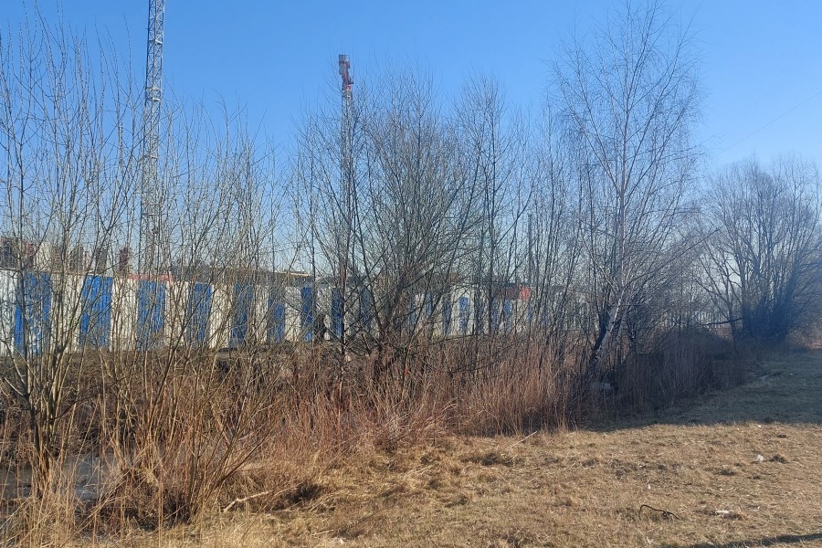 Застройщик получил разрешение вырубить «неперспективную растительность» у Тихорецкого проезда