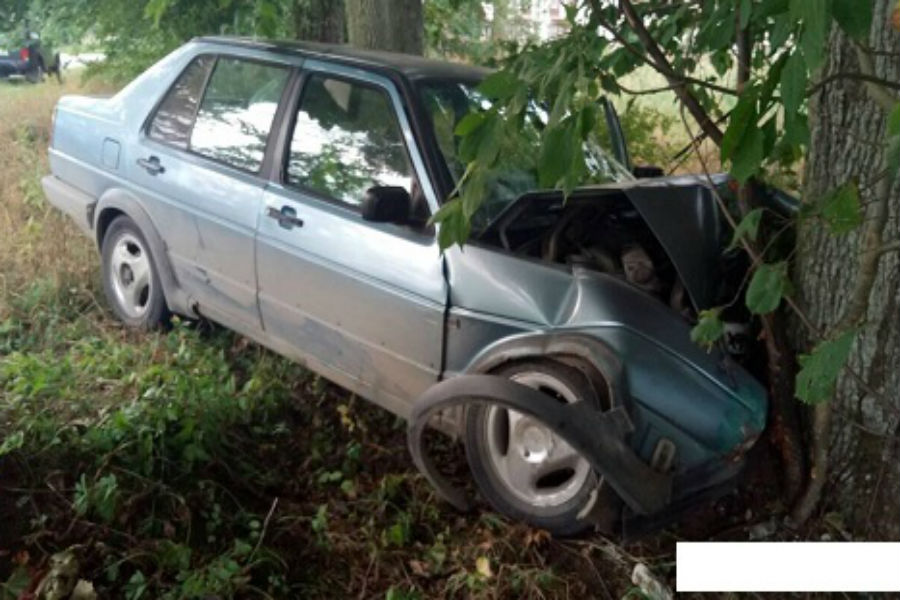 В Янтарном водитель «Фольксвагена» выехал на встречку и врезался в дерево (фото)
