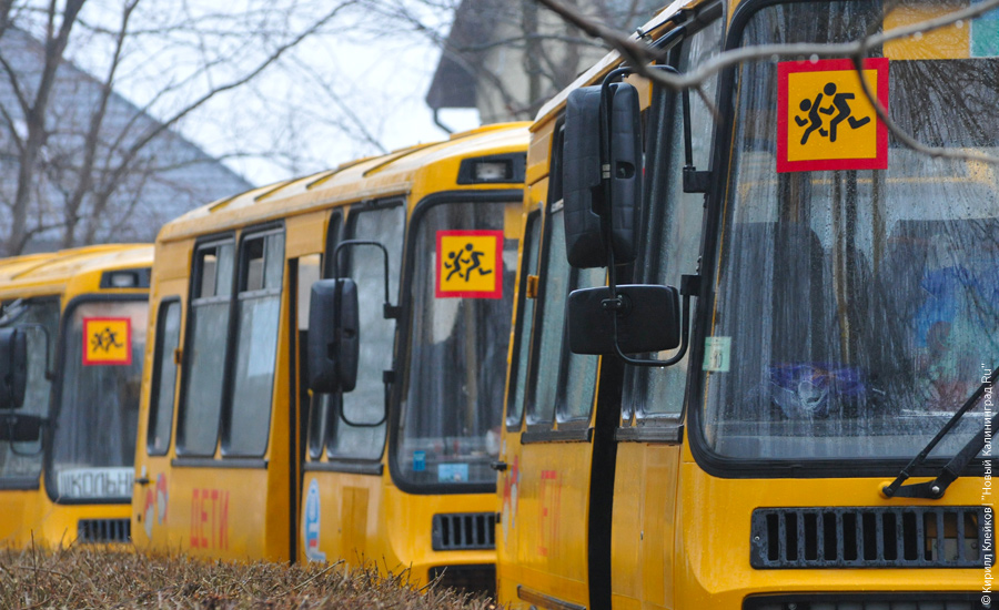 "Награда для героя": фоторепортаж "Нового Калининграда.Ru".