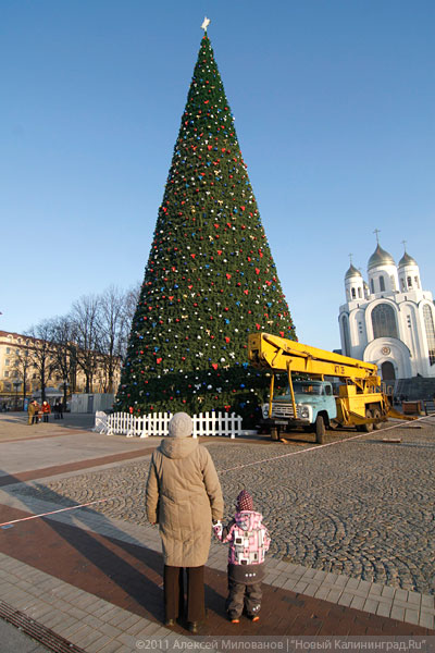 "Много на ёлочке шариков цветных": фоторепортаж "Нового Калининграда.Ru"