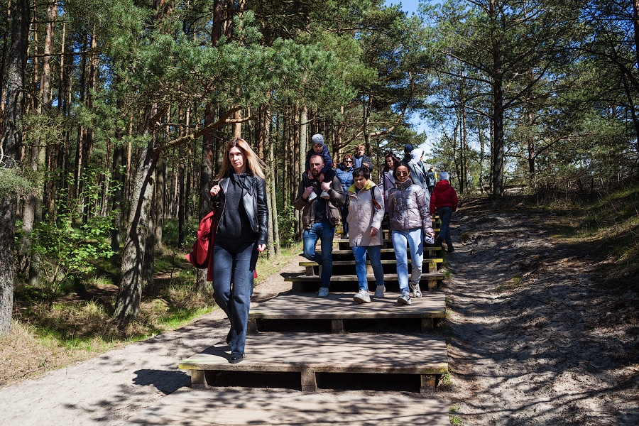 «Надо что-то делать, это нереально»: Куршская коса едва справляется с турпотоком