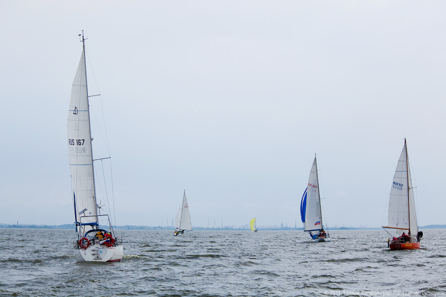 "Гонки под парусами": фоторепортаж "Афиши Нового Калининграда.Ru"