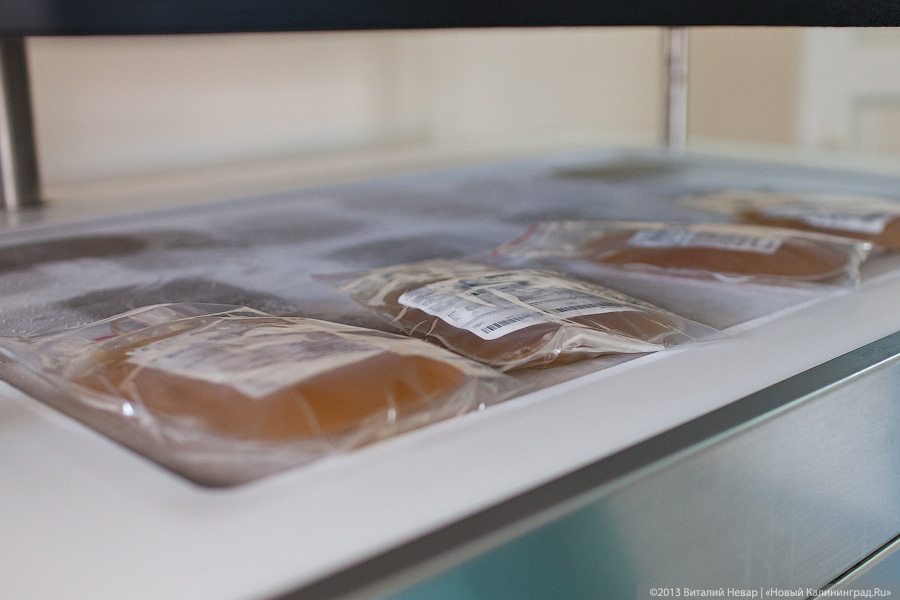 «Станция капель добра»: станция переливания крови в новых реалиях