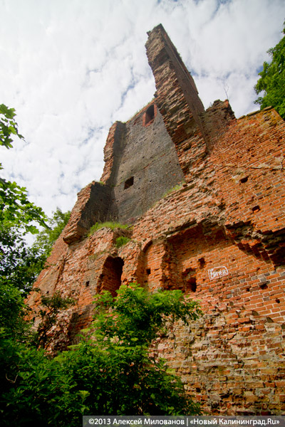 Черепки и воронки: «черные копатели» регулярно разграбляют руины кирхи в Корнево