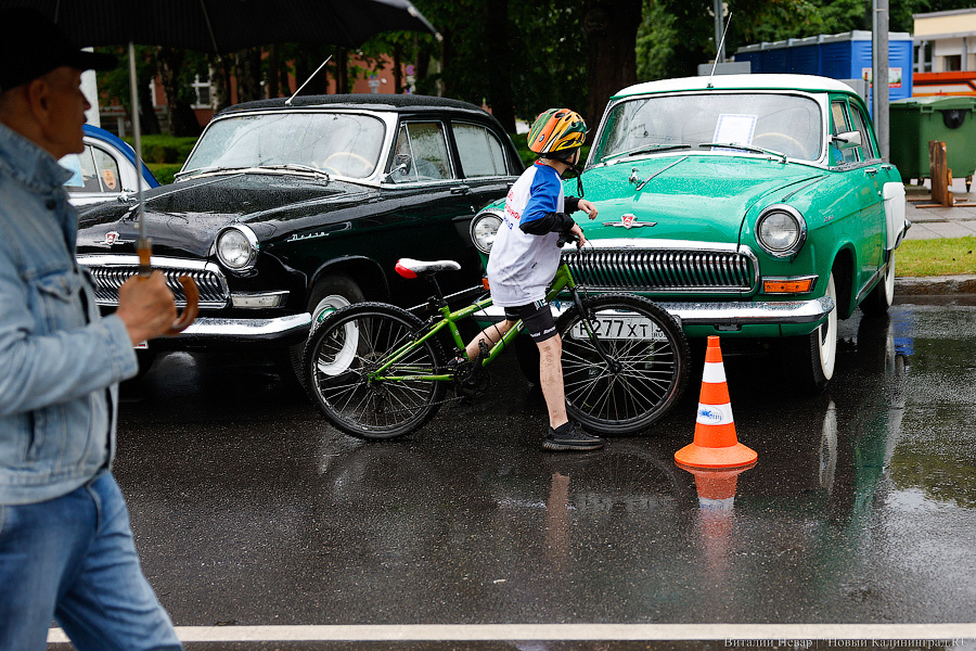 Праздник под дождем: как в Калининграде прошел День города (фото)