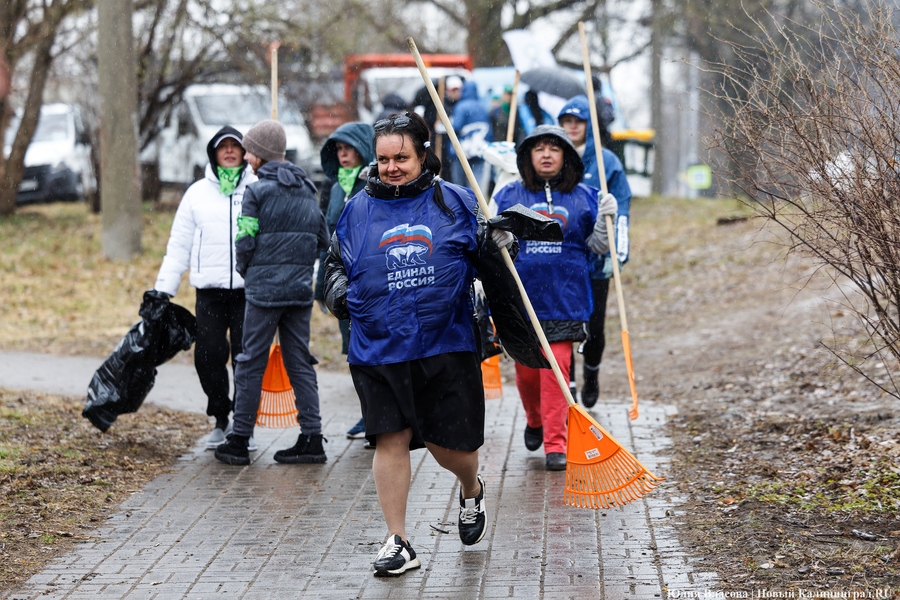 «Коммунальный Новый год»: как в Калининграде прошёл общегородской субботник