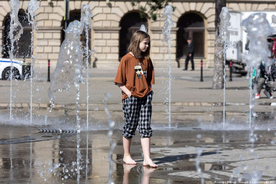 «Быки» и «младенцы»: в Калининграде начался сезон фонтанов (фото)