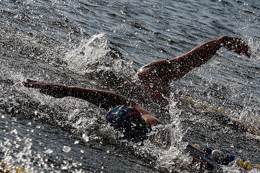Время моржей: в  Калининграде прошли соревнования по зимнему плаванию (фото)