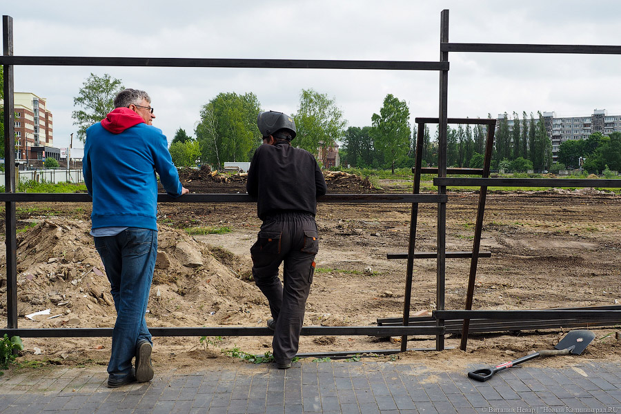 Началась вырубка на территории «Рыбной деревни-2»