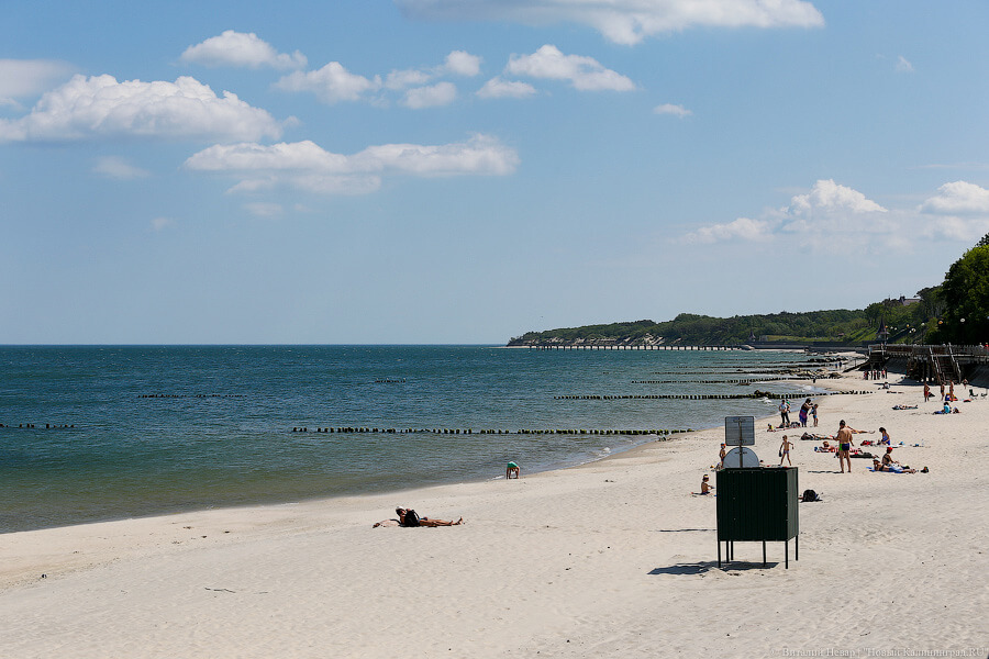 Росморпорт: строительство башни-маяка в лесу у Заостровья не потребует вырубки деревьев